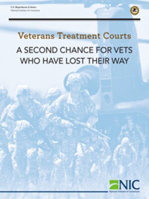 cover image of Veterans Treatment Court